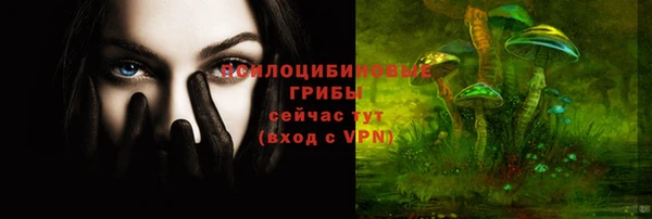 MDMA Богородицк
