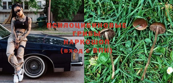 Альфа ПВП Бабаево