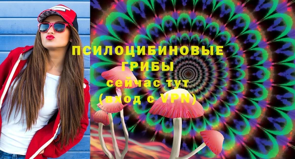 кристаллы Богданович