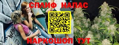 СК Ирбит