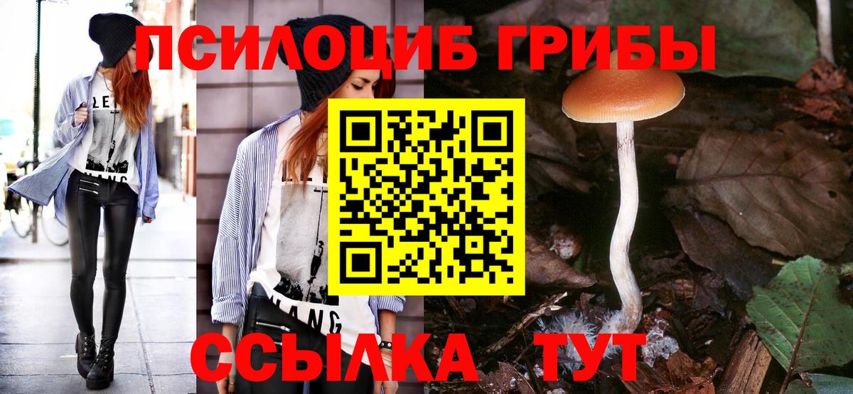 Галлюциногенные грибы мицелий  Псилоцибиновые грибы Psilocybe  Буйнакск  Вход с VPN 