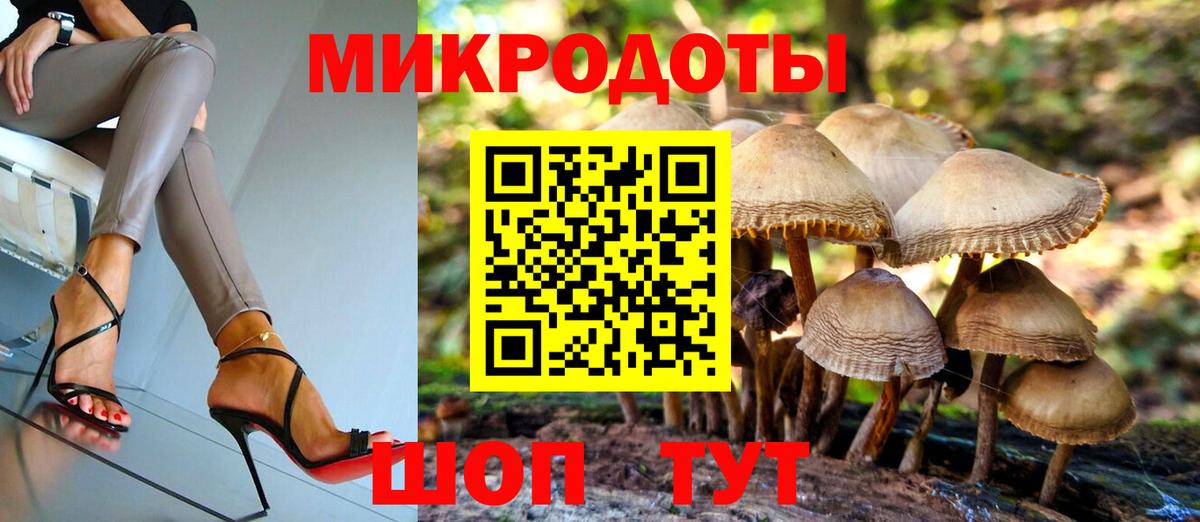 Галлюциногенные грибы ЛСД Буйнакск