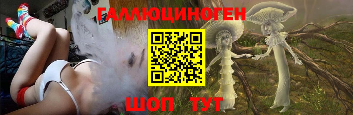 Псилоцибиновые грибы прущие грибы  Буйнакск  наркота  Псилоцибиновые грибы мицелий 