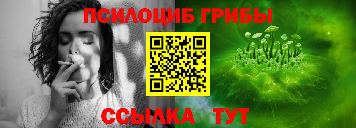 Мяу-Мяу  Мяу-Мяу  Альфа-ПВП  Конопля  КОКАИН  Буйнакск  Гарик  Вход с VPN 